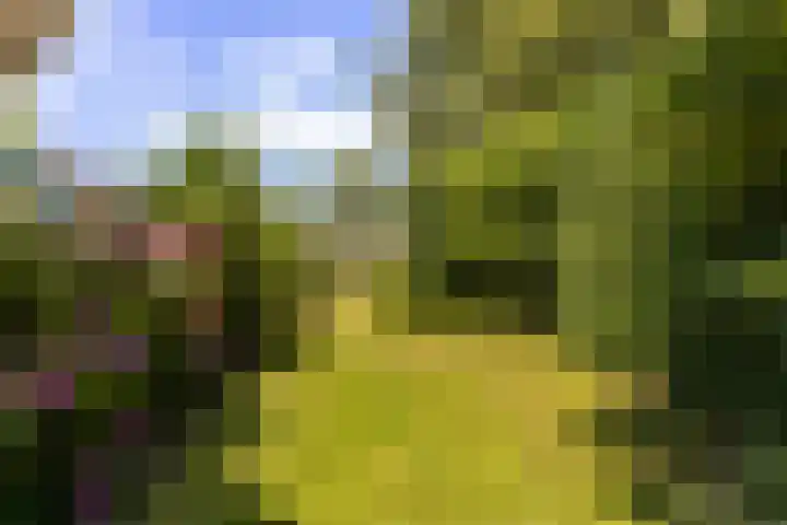 Bytling 25 Terherne thumbnail 20