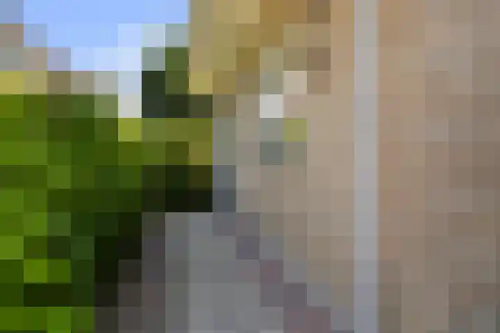 Bytling 25 Terherne thumbnail 22