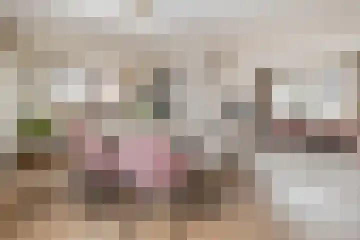 Bytling 25 Terherne thumbnail 28