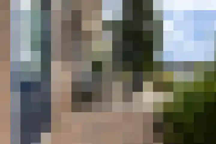 Bytling 25 Terherne thumbnail 44