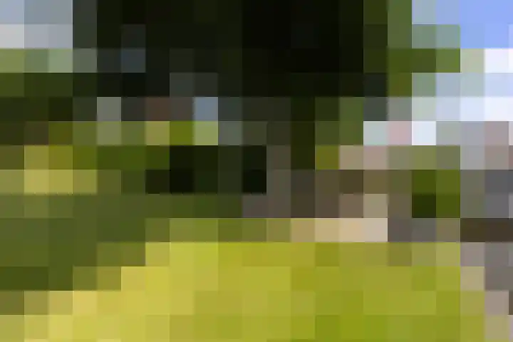 Bytling 25 Terherne thumbnail 57