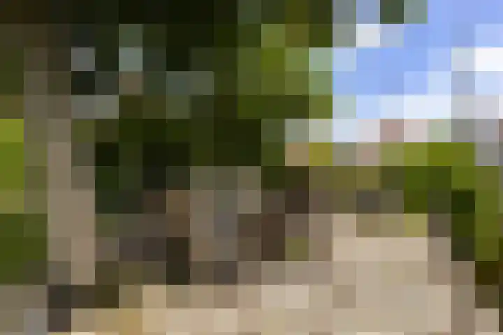 Bytling 25 Terherne thumbnail 58