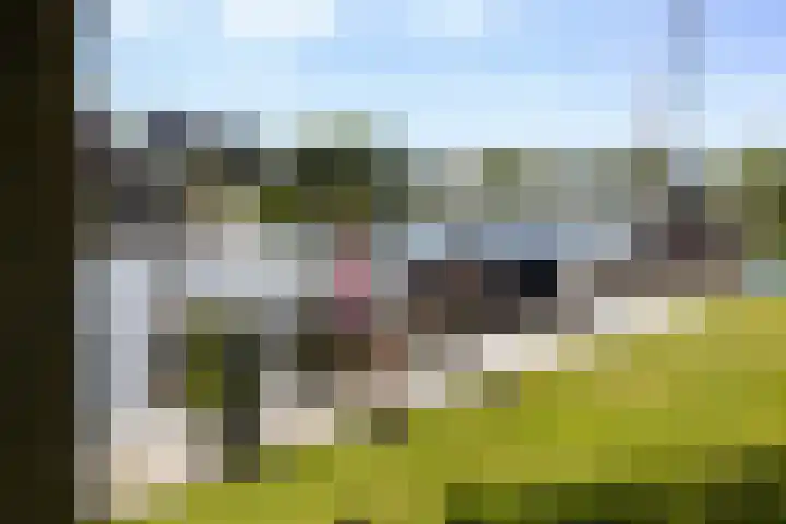 Bytling 25 Terherne thumbnail 59