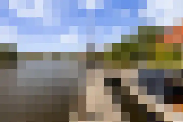 Bytling 25 Terherne thumbnail 60