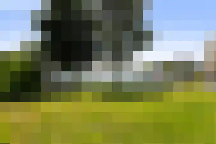 Bytling 25 Terherne thumbnail 7