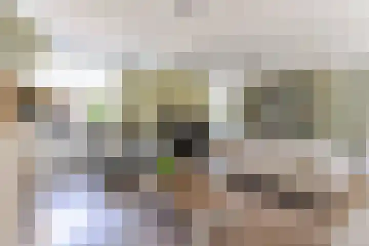 C. de Vosstraat 7 Boskoop thumbnail 10