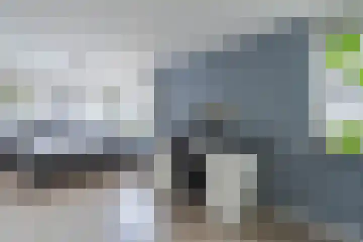 C. de Vosstraat 7 Boskoop thumbnail 16