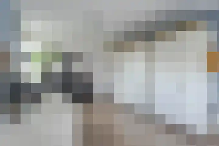 C. de Vosstraat 7 Boskoop thumbnail 17