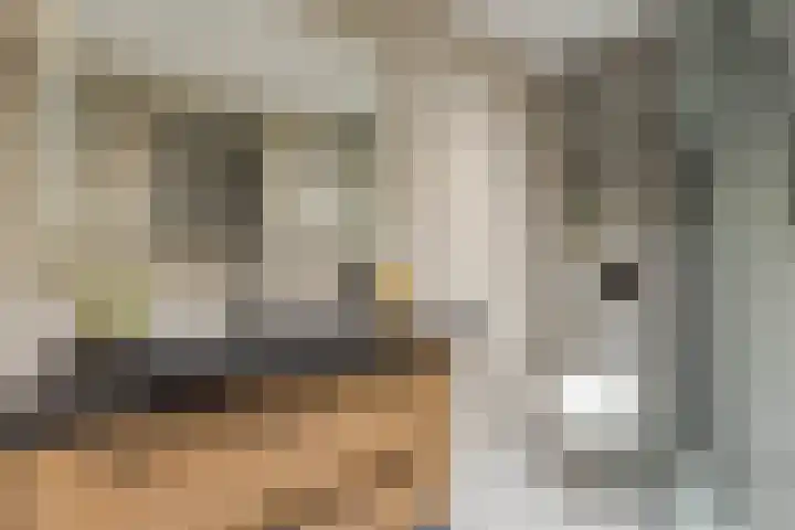 C. de Vosstraat 7 Boskoop thumbnail 22