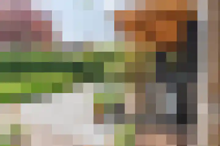 C. de Vosstraat 7 Boskoop thumbnail 4