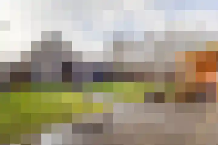 C Lelystraat 6 Franeker thumbnail 29