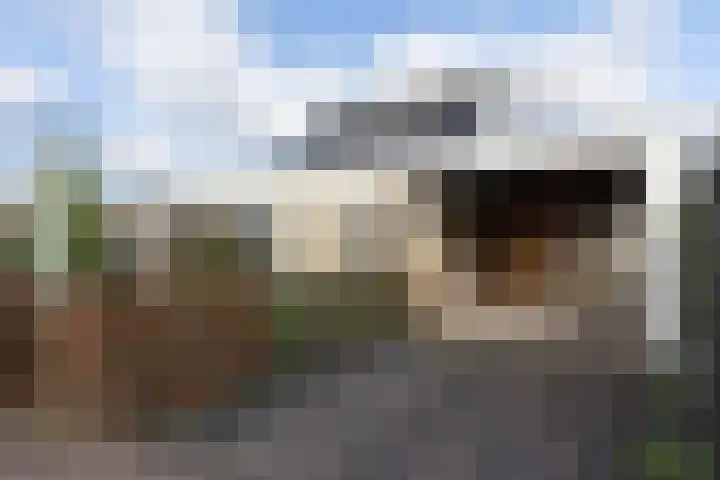 C.P.M. Rommelaan 23 in Winterswijk