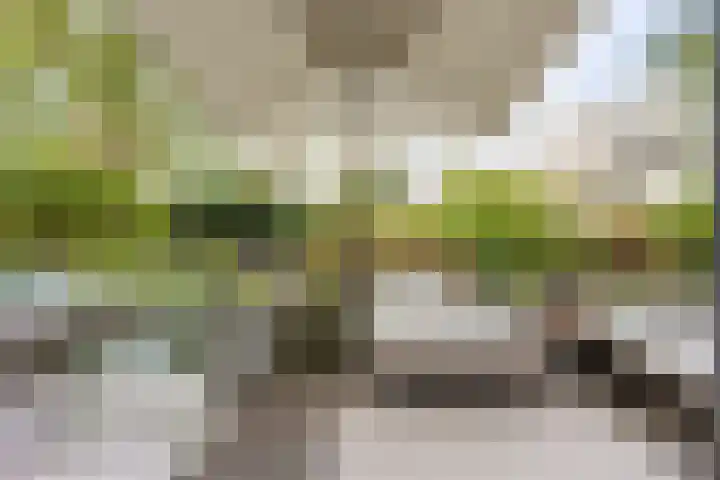 C. van Eesterenlaan 256 Amsterdam thumbnail 12