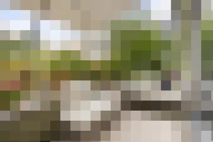 C. van Eesterenlaan 256 Amsterdam thumbnail 13