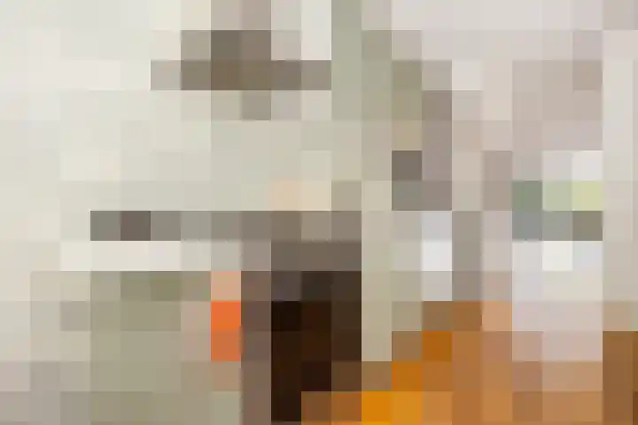 C. van Eesterenlaan 256 Amsterdam thumbnail 16