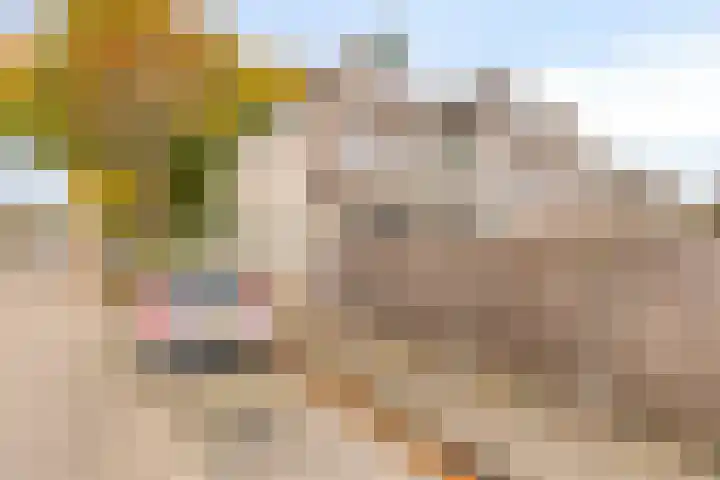 C. van Eesterenplein 86 Almere thumbnail 33