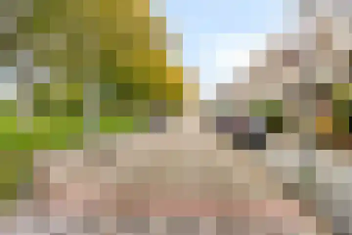 C. van Eesterenplein 86 Almere thumbnail 35