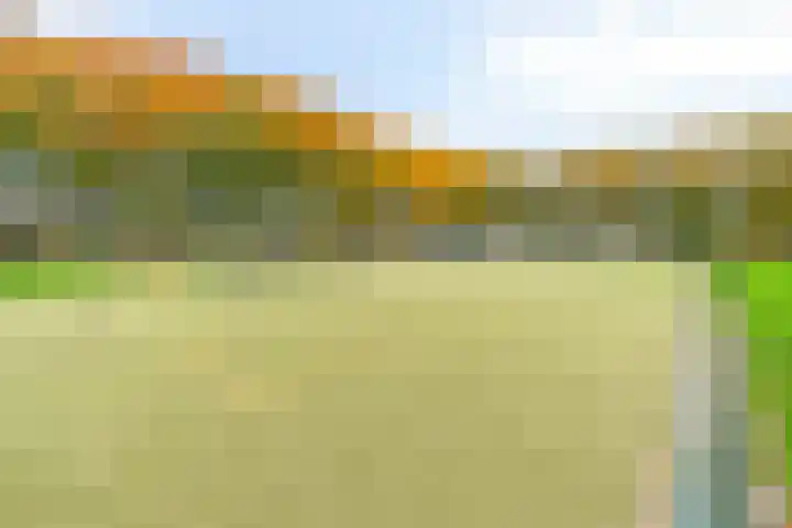 C. van Eesterenplein 86 Almere thumbnail 37