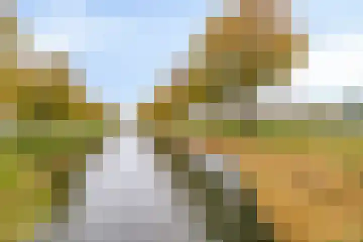 C. van Eesterenplein 86 Almere thumbnail 38