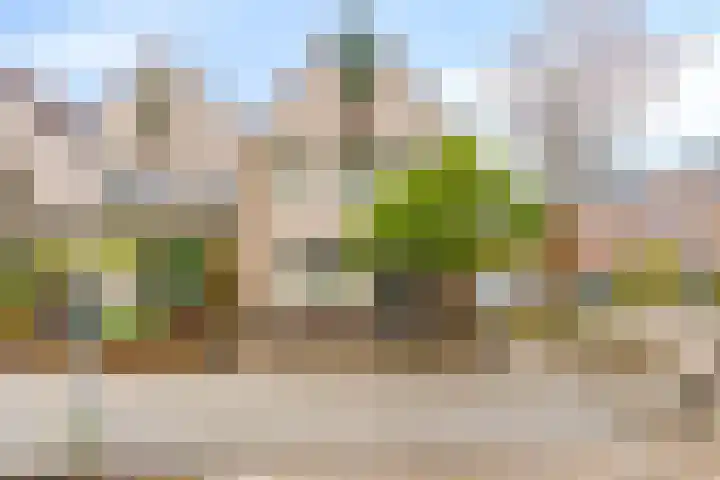 C. van Eesterenplein 86 Almere thumbnail 6