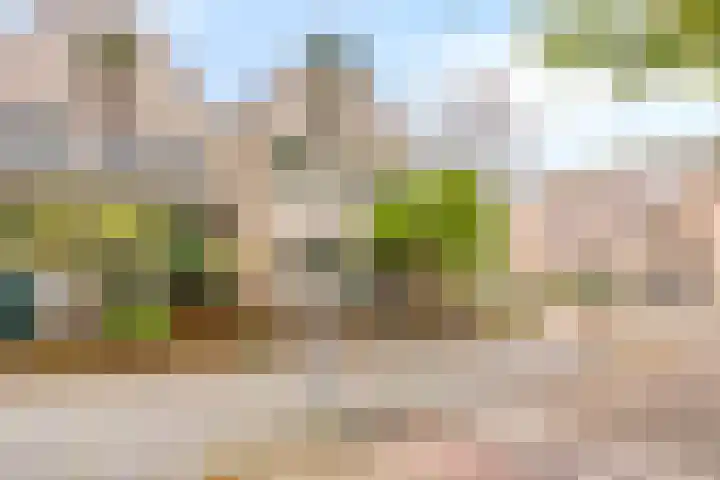 C. van Eesterenplein 86 Almere thumbnail 7