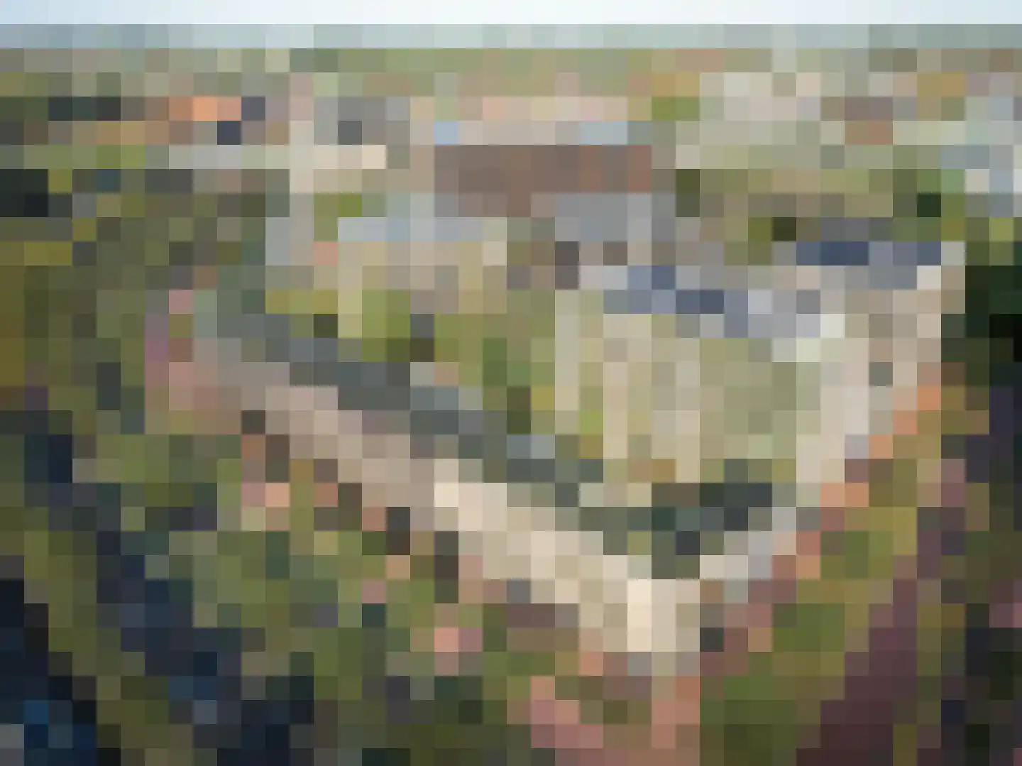 CAB-rondom 231 Utrecht thumbnail 7