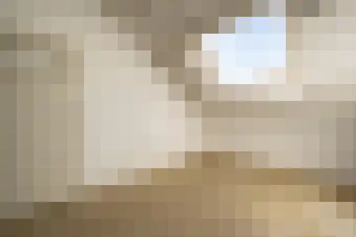 Cabbeweide 4 Westmaas thumbnail 17