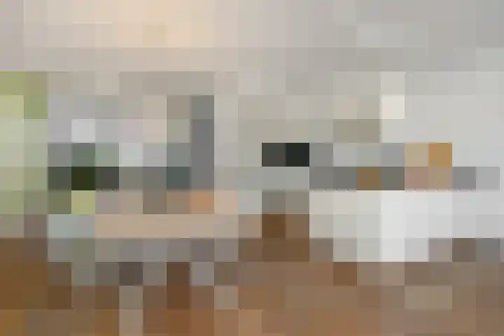 Cadansstraat 18 Rosmalen thumbnail 10