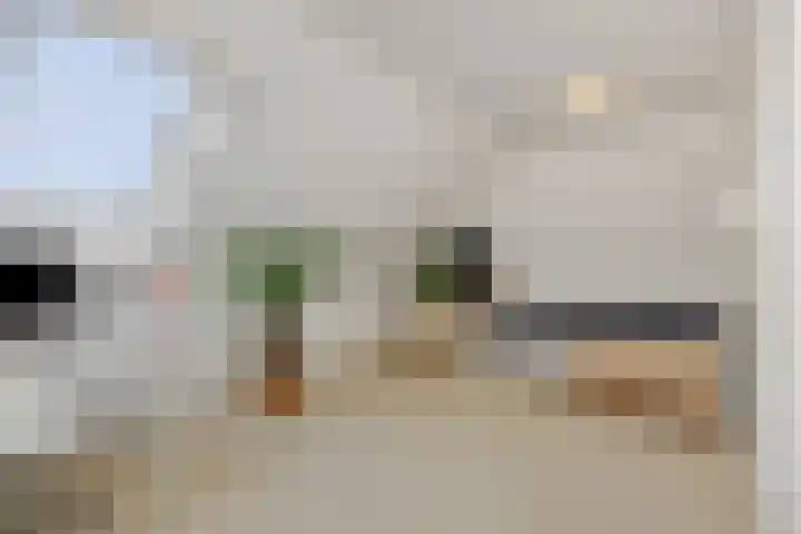 Cadansstraat 18 Rosmalen thumbnail 29