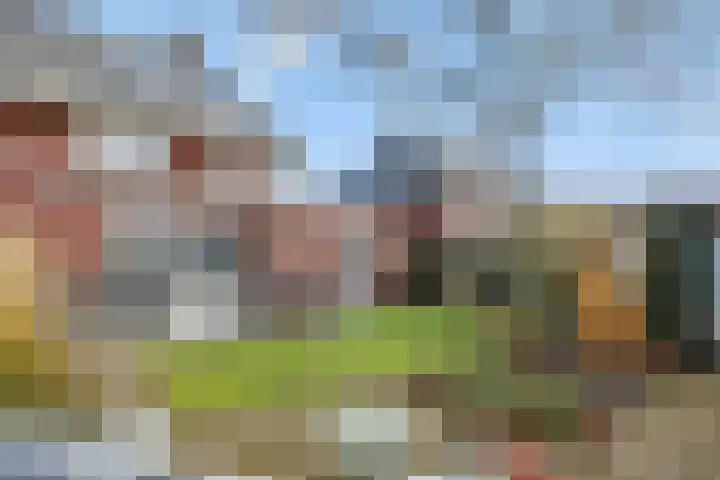 Cadansstraat 18 Rosmalen thumbnail 32