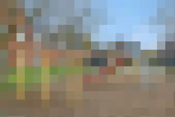 Cadansstraat 18 Rosmalen thumbnail 39
