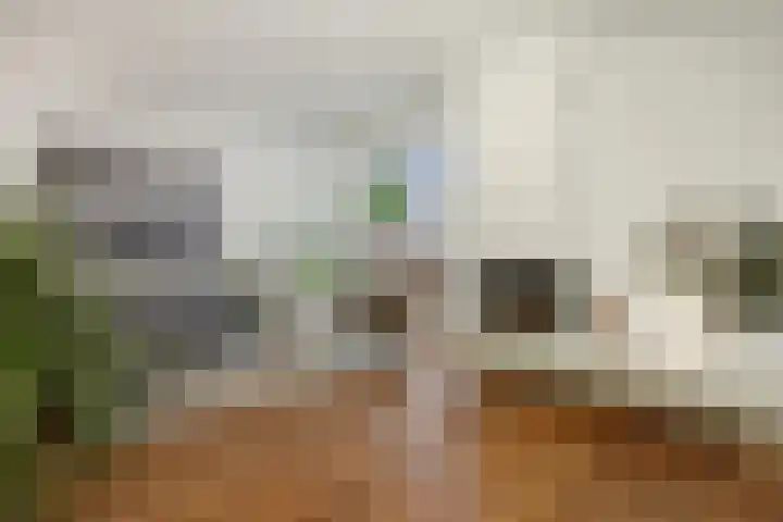 Cadansstraat 18 Rosmalen thumbnail 5