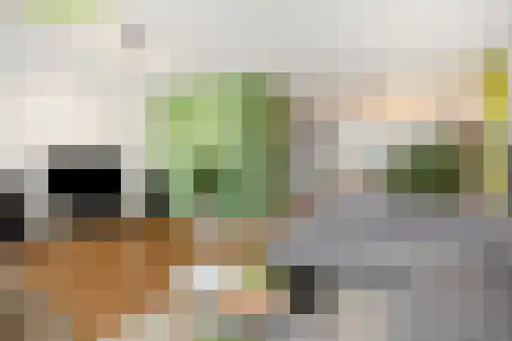 Cadansstraat 18 Rosmalen thumbnail 6