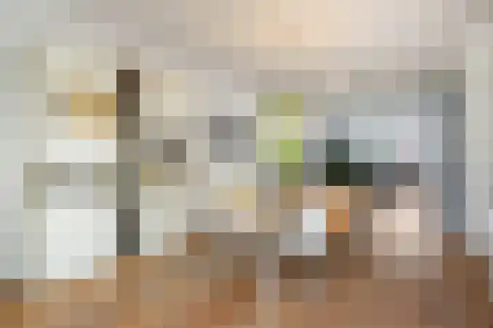 Cadansstraat 18 Rosmalen thumbnail 9