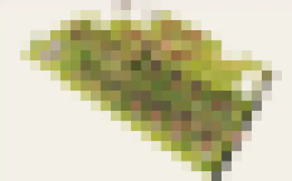 Caendorp 1 Heiloo thumbnail 7