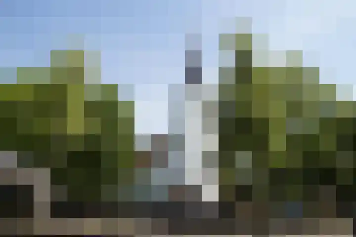 Caendorp 3 Heiloo foto 3