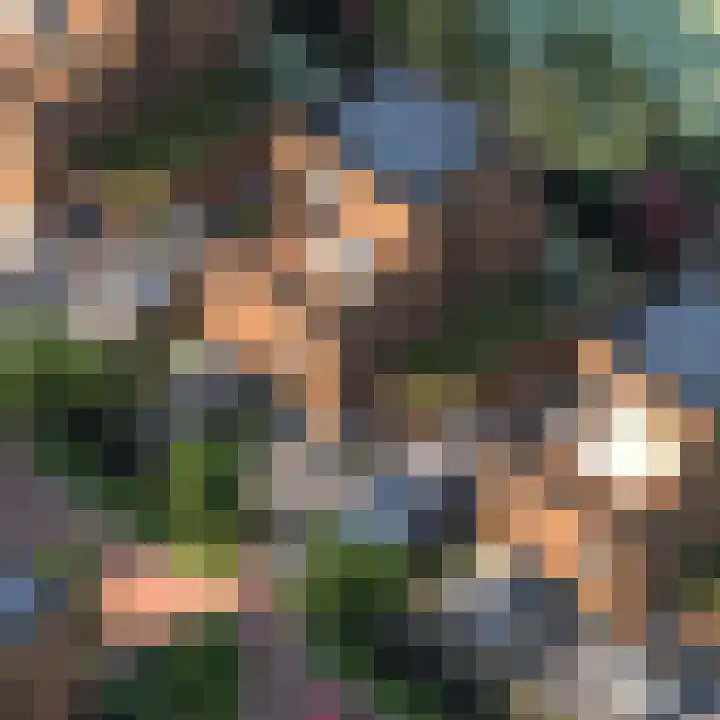 Caendorp 3 Heiloo thumbnail 4