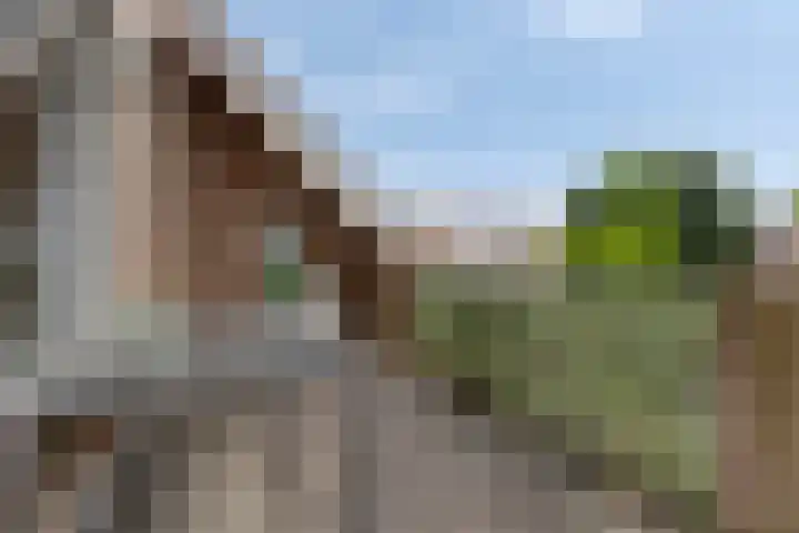 Caesarhof 26 B Maastricht thumbnail 4