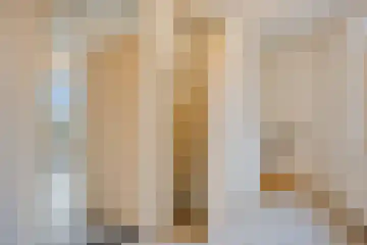 Caesarhof 30 B Maastricht thumbnail 6