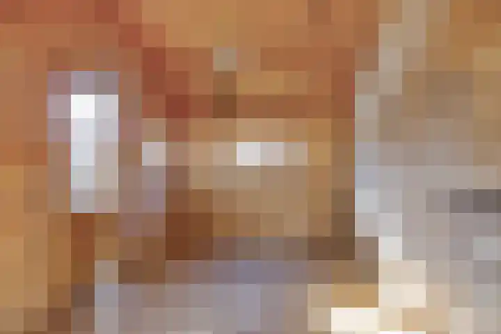 Caesarlaan 19 Beuningen Gld thumbnail 29