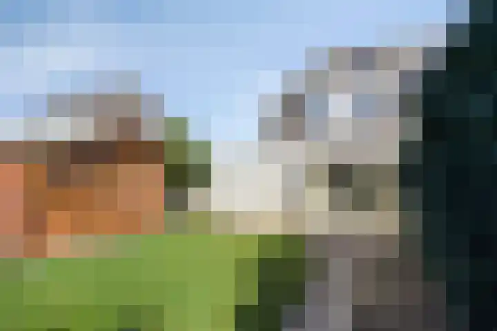 Caesarlaan 19 Beuningen Gld thumbnail 34