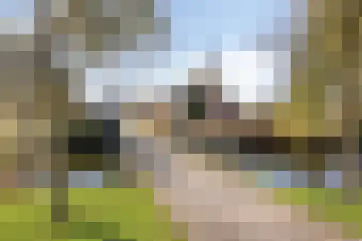 Caesarlaan 19 Beuningen Gld thumbnail 38