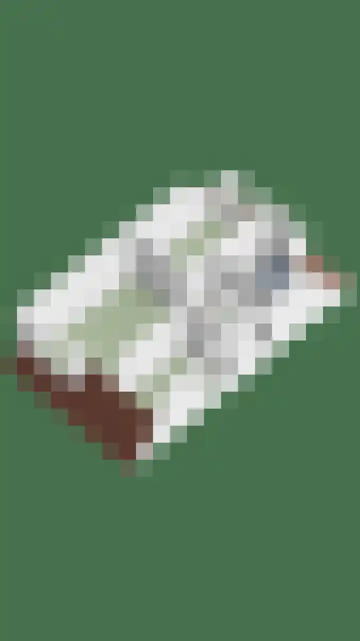 Caesarlaan 19 Beuningen Gld thumbnail 42