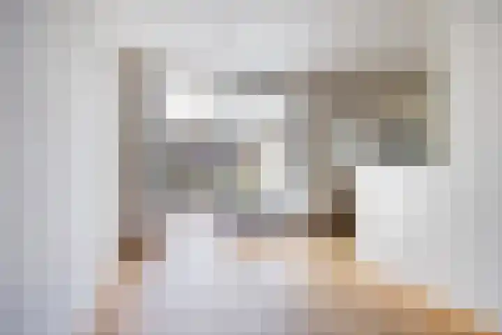 Caesarlaan 19 Beuningen Gld thumbnail 7