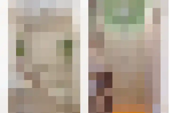Calandstraat 24 Axel thumbnail 17