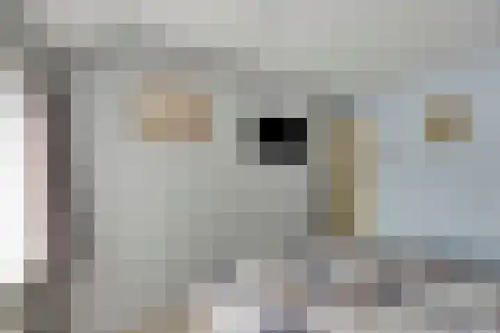 Calandstraat 24 Axel thumbnail 19