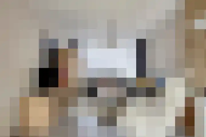 Calandstraat 24 Axel thumbnail 9