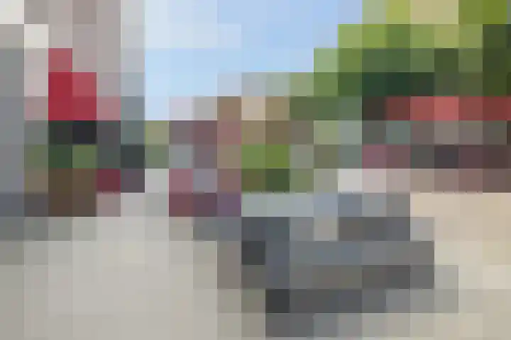 Calandstraat 4 Rotterdam thumbnail 4