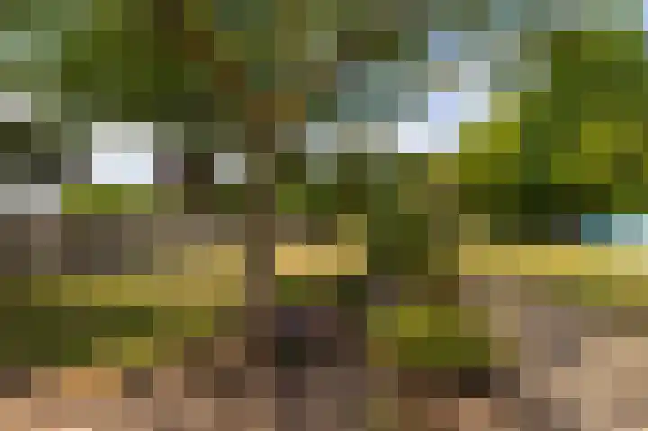 Calfven 189 Ossendrecht thumbnail 34