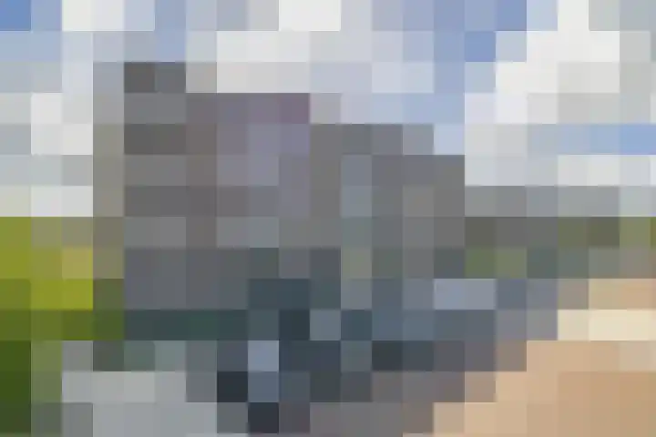 Calla 69 Voorhout thumbnail 37